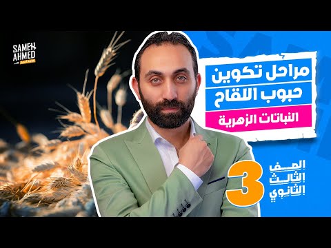 التكاثر 3 ثانوي | مراحل تكوين حبوب اللقاح | النباتات الزهريه #الاحياء #ثانوية_عامة