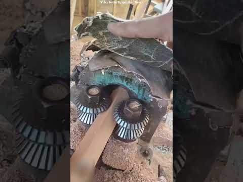 ek raja apne rajya ka bhrman kar raha tha hathi pe.😯 #shorts #motivation