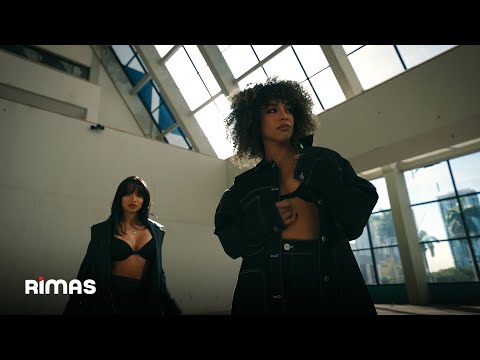 Ñengo Flow - Vaquera [Visualizer]