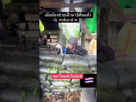 หมาไทยหัวใจนักสู้ #คลิปตลก #funny #comedy #jokes #joker #haha