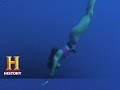 Understanding Free Diving and Water Pressure