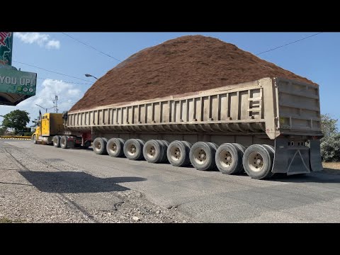 Jamaica East Side Trucker | S2-E9 [4k 60fps #kenworth #peterbilt #truck