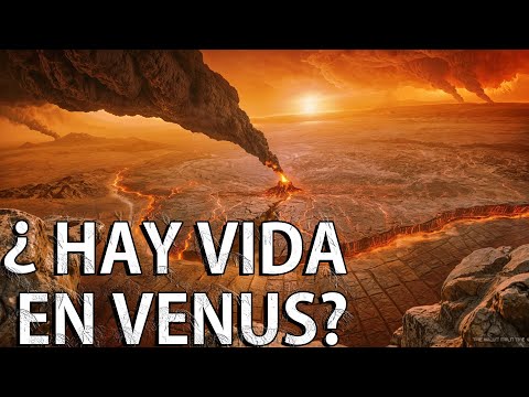 ¿Existe vida en Venus？