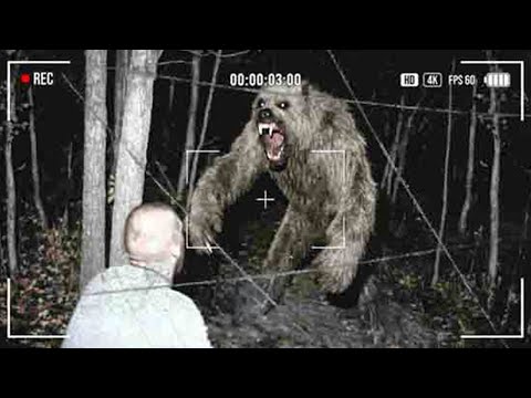 The Michigan Dogman's Most VIOLENT ATTACK Has Been Caught on Camera