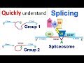 Splicing Mechanisms and Functions
