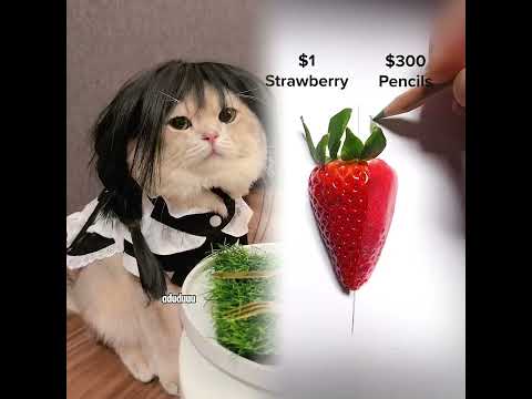 😾ternyata dia piara GAYUNG LOPE-CING woi #cat #kucing #kucingtiktok #kucinglucu