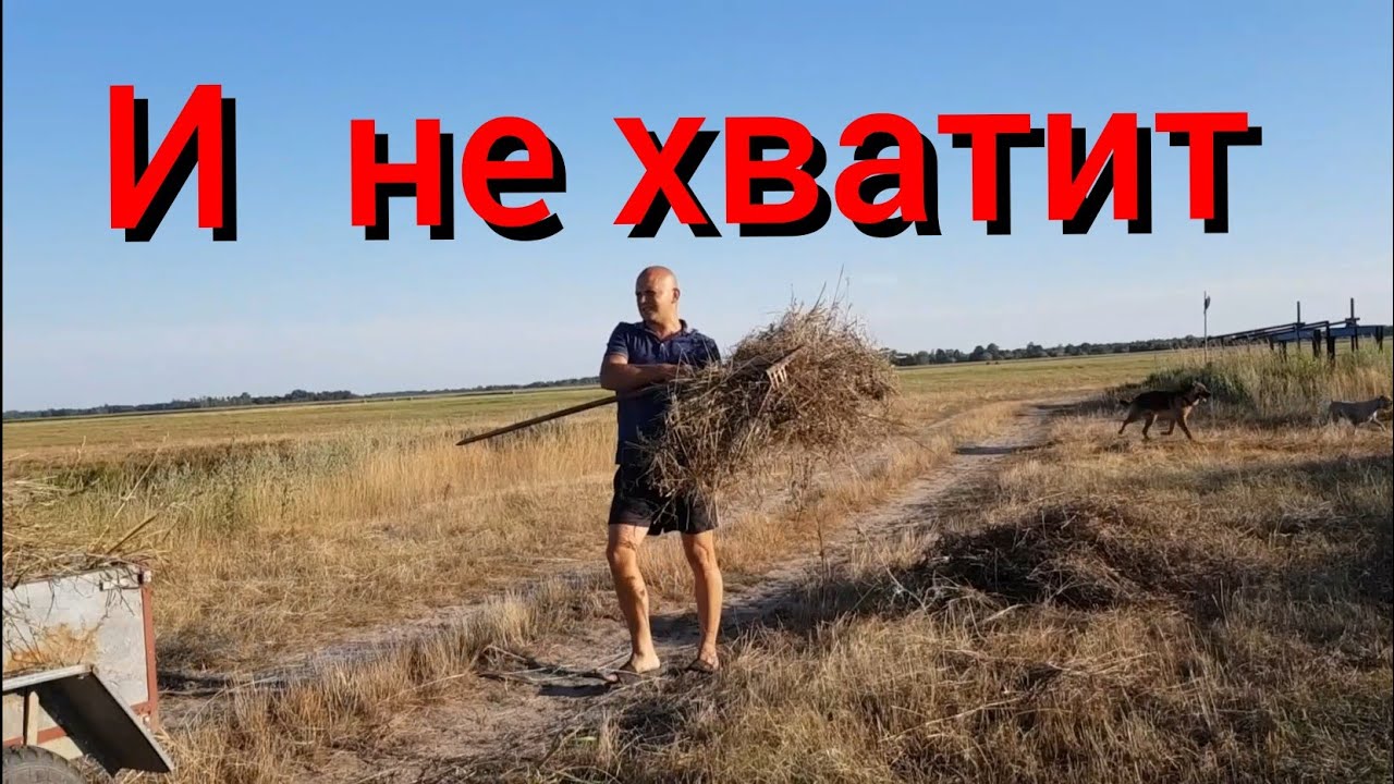 Каменная отмостка, счастливые животные, заготовка сена
