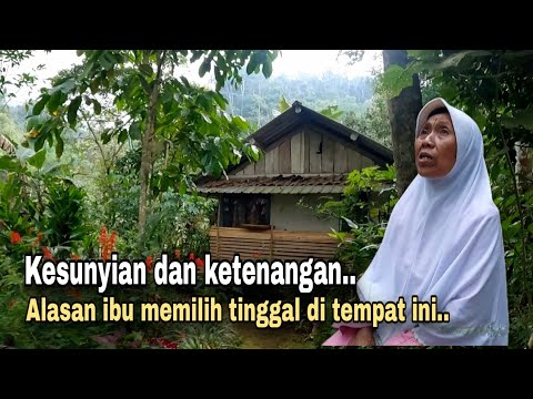 PENGEN HIDUP TENANG..!! ITULAH ALASAN SEORANG IBU YANG MEMILIH TINGGAL SENDIRI DI TENGAH HUTAN.