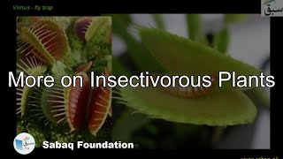 More on Insectivorous Plants