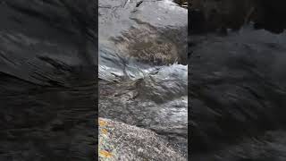 Mountain rivers. Eternal Love - Water and Stone. #Shorts