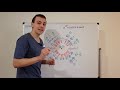 Unit Circle and Complex Numbers