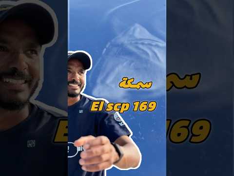 من أشرس الكائنات البحرية علي وجه الارض !🤯El scp 169 #غوص #diving