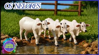 INCRÍVEL TOCANDO A BOIADA NO CAMPO ALAGADO!