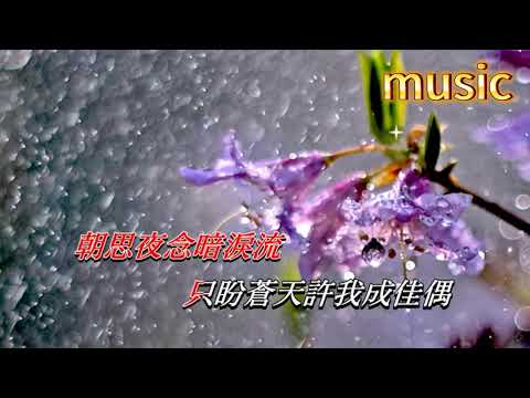 相思淚 劉珺兒KTV 伴奏 no vocal 無人聲 music 純音樂 karaoke 卡拉OK 伴唱 instrumental相思淚 劉珺兒