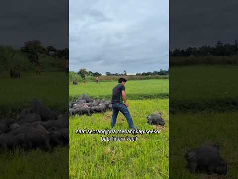 apa yang akan terjadi jika tidak dilepaskan 😱