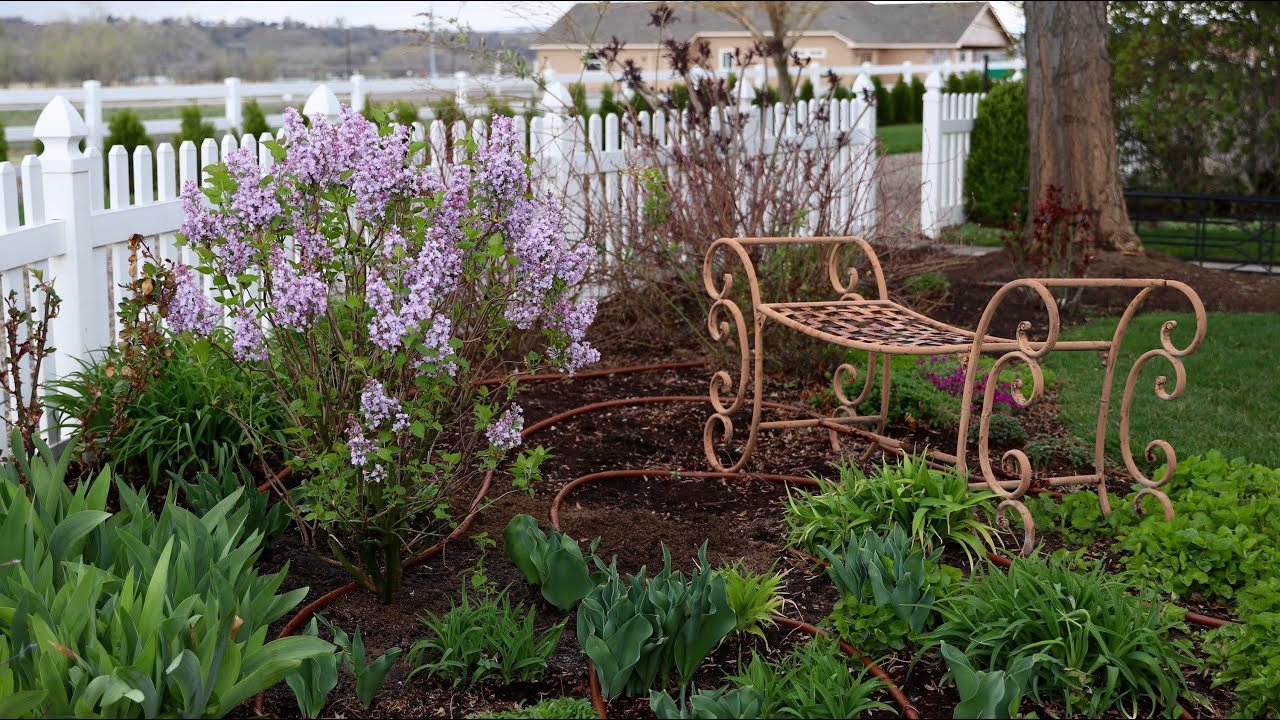 Rainy Day Garden Projects