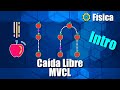 Cuestionario sobre Movimiento Vertical de Caída Libre