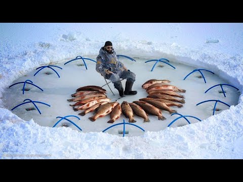 Amazing Fishing on the Frozen Lake / Big Fish