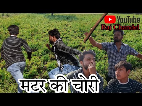 मटर की चोरी। चोरों ने किया किसान को परेशान।।