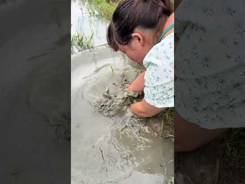 徒手抓魚 #抓魚 #釣魚 #戶外 #funny #親子釣魚