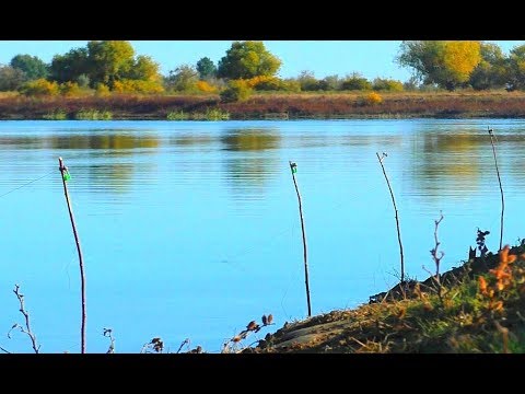 РЫБАЛКА НА ЗАКИДУШКИ С НОЧЁВКОЙ. СПИННИНГ В ОКТЯБРЕ. РЫБА ВСЯКАЯ ЕСТЬ.