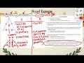 Triangle Congruence Proofs: SSS and HL Techniques