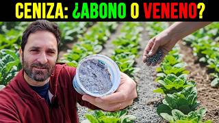 CENIZA EN LA HUERTA: Para qué sirve, Cómo usarla bien [ y cuando es peligrosa ]