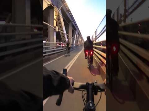 On your left #citycycling #urbancyclist #urbantraffic #nightcycling #gta6 #premiumrush