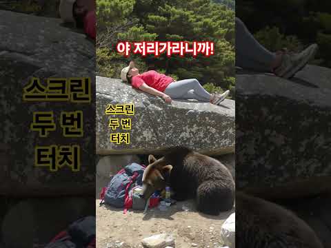 야 저리가!