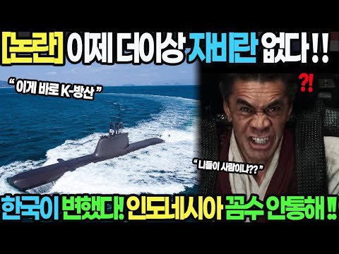 한국 : 이제 더 이상 자비란 없다!! 인도네시아가 한국 무시하고 유럽과 계약한 최후!!