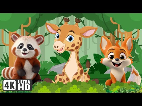 Animal Sounds : Red Panda, Giraffe, Fox, Monkey - Animal sounds