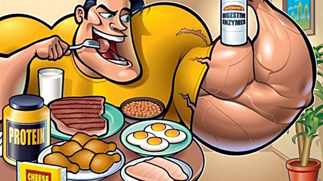 Лучший белок для набора массы