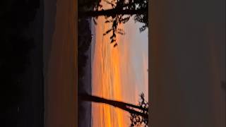 Sunset #shorts #twilight #music