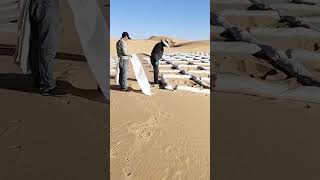 China Ke Log Registan me ped laga rahe hai #shortsfeed #facts #reelscomedy