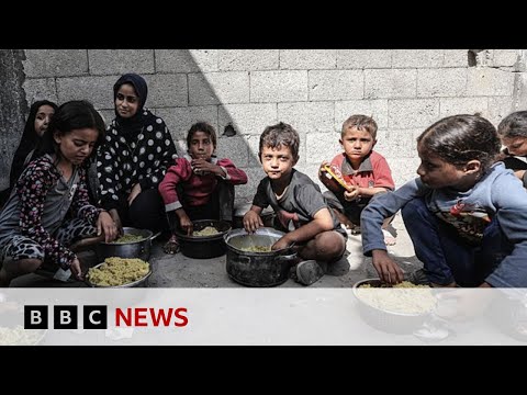 YouTube video thumbnail: Gaza Experiencing Health ‘Catastrophe’ That Will Last Generations, Says WHO