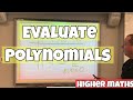 Evaluating and Understanding Polynomials