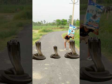 เคเค เคนเคจเฅเคฎเคพเคจ เคญเคเฅเคค เคเฅ เคเคนเคพเคจเฅ ๐ฉ๐เคเคฏ เคนเคจเฅเคฎเคพเคจ ๐๐#shortvideo #trending #viralvideo #shorts