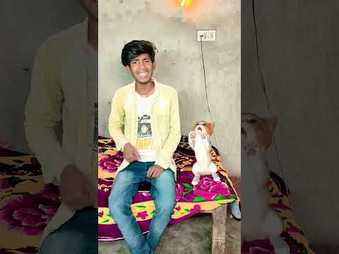 Choklete ko khayga #shors #cat #aay cat aay aay #vairal