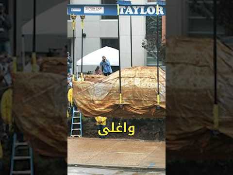 حركة قوية !!#قصة #buggati