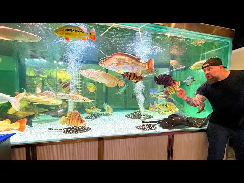 “THIS MONSTER Fish STORE in CHINA Has EVERYTHING!”
