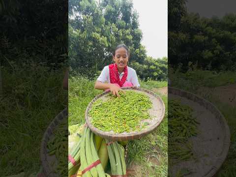 পাহাড়ি টাটকা শাক-সবজী !