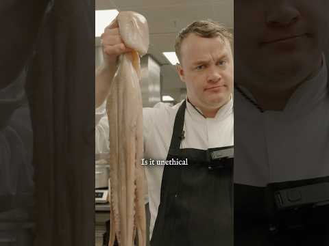 Is it Unethical to Eat Octopus?