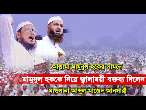 আল্লামা মামুনুল হককে নিয়ে জ্বালাময়ী বক্তব্য দিলেন। মাওঃ আব্দুল মাজেদ আনসারী। Abdul Majed Ansari