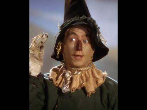 Dorothy meets Scarecrow on The Yellow Brick Road- Wizard Of Oz Comedy Recap