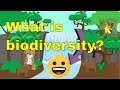 Biodiversity and Its Importance