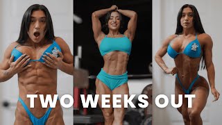 physique update | new LOW WEIGHT 2 weeks out