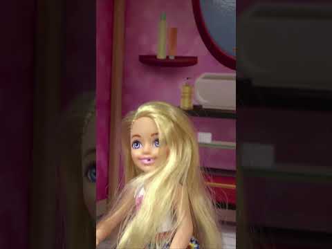 Barbie Sister Chelsea Surprise Visit 😱