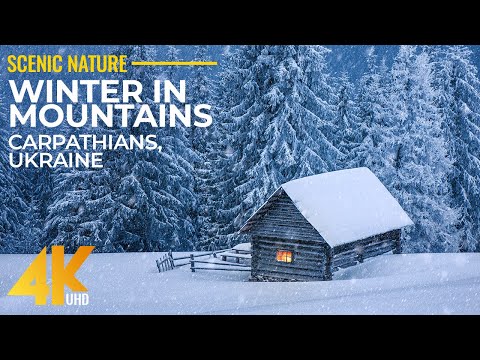 Snowy Winter in the Carpathians, Ukraine - 4K Relaxation Film - Calming Music for Stress Relief