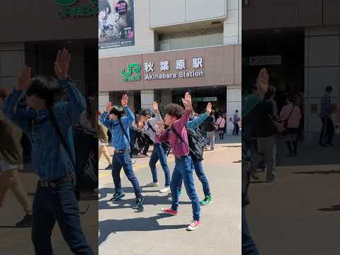 カンカンカンダンスするオタク【秋葉原】