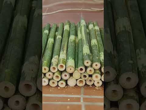 Make Bamboo Hammock